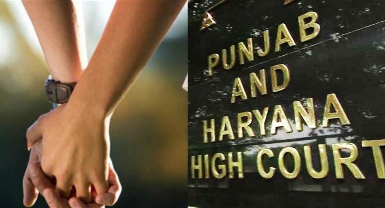 high court denies protection to livein with minor illegal and immoral