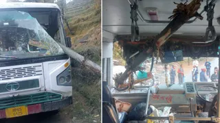 जिला मंडी के सराज क्षेत्र में एचआरटीसी बस का शीशा तोड़कर अंदर घुसा पेड़। जागरण