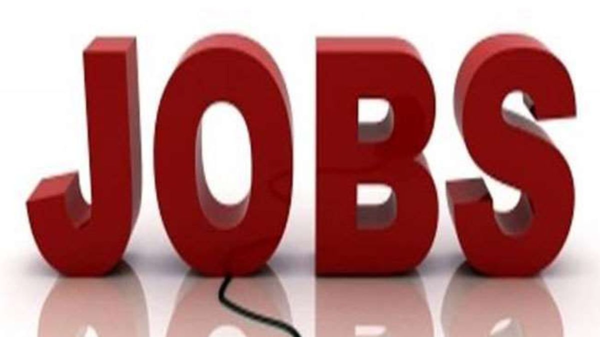 uae job opportunity delivery rider openings for himachal youth