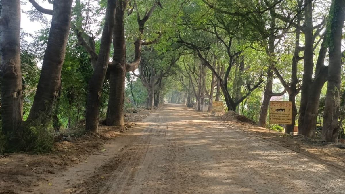 narnaul weather coldest in haryana temperature below normal