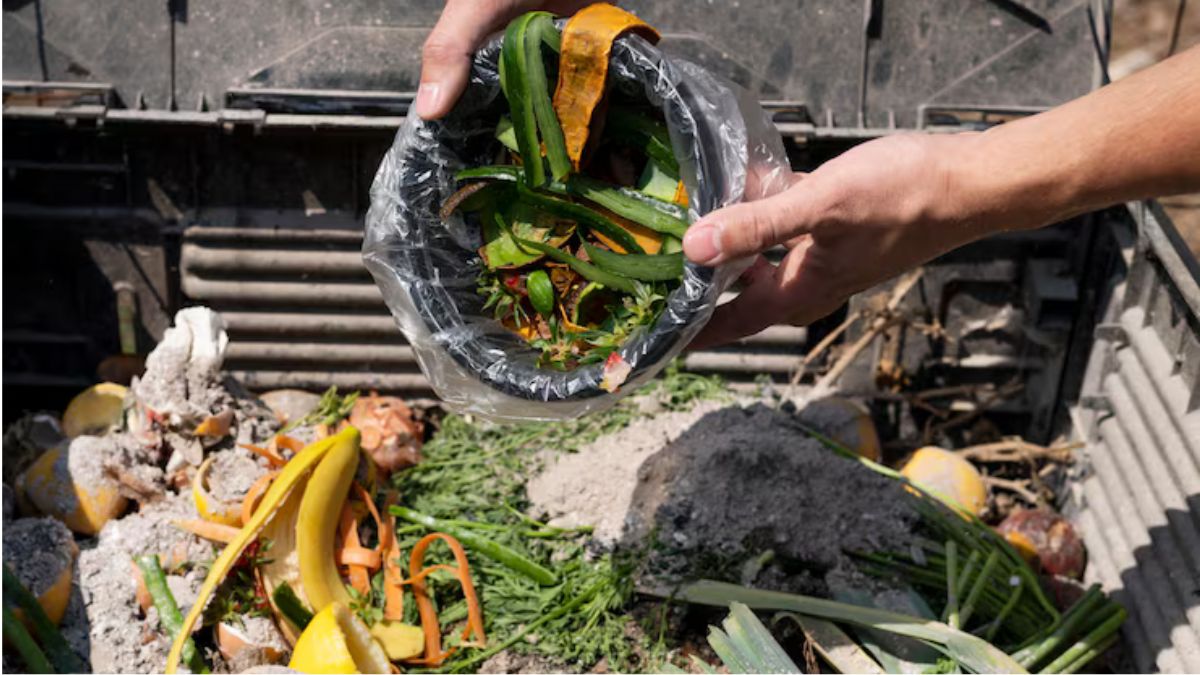 7 homemade organic fertilizers for better plant growth check details here