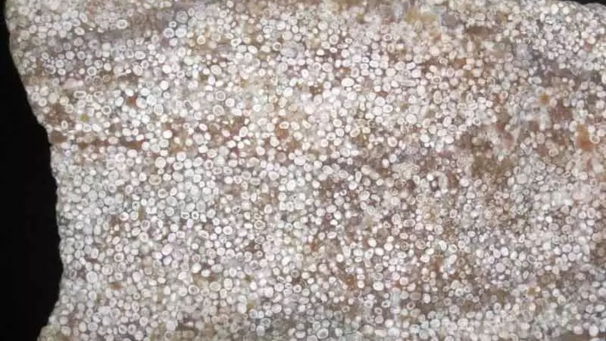 one billion tonne limestone reserves found in jammu and kashmir revenue of rs 1500 crore expected