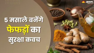 दिल्ली में प्रदूषण: इन 5 मसालों से करें फेफड़ों की सुरक्षा (Picture Credit- AI Generated)