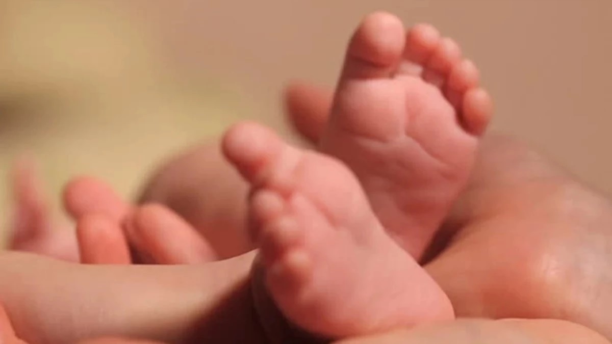 janani express fails pregnant woman delivers baby in shivpuri forest