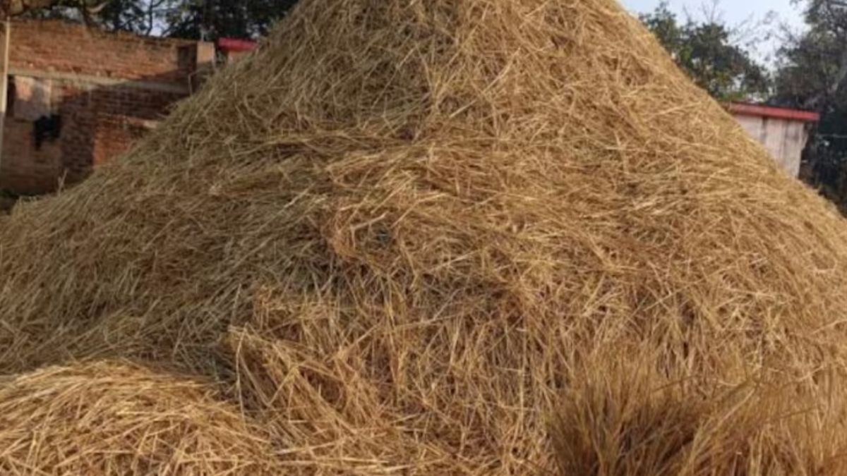 fazilka has achieved 80 percentage management with stubble burning cases down by 50 percentage since last year