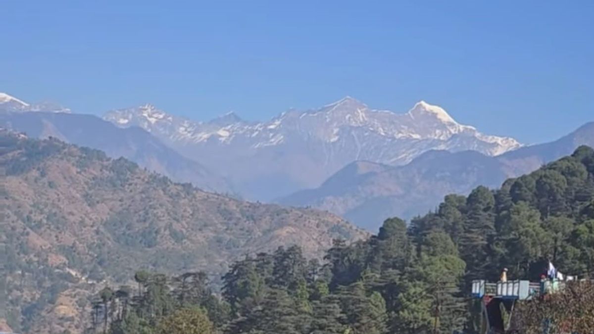 the cold increased due to lack of snowfall in the yamunotri region