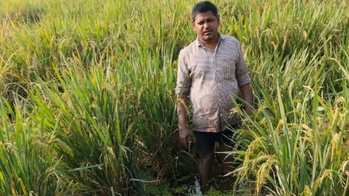 buxar farmers stranded waterlogged fields halt farming