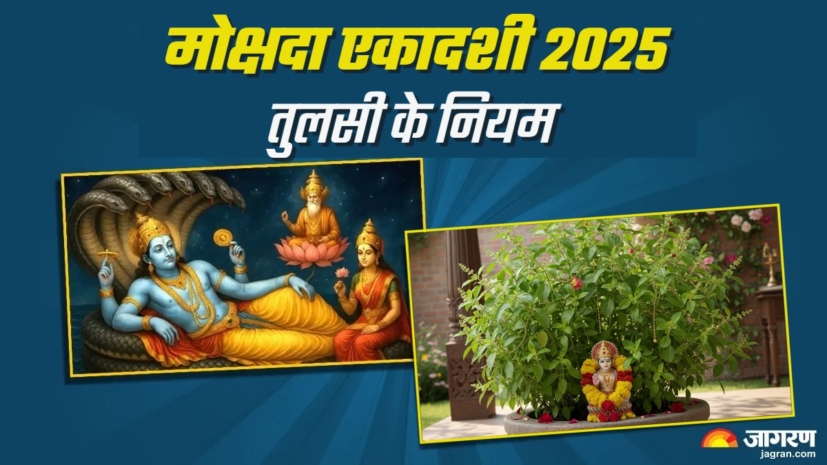 mokshada ekadashi 2025 avoid these mistakes related to tulsi for full blessings