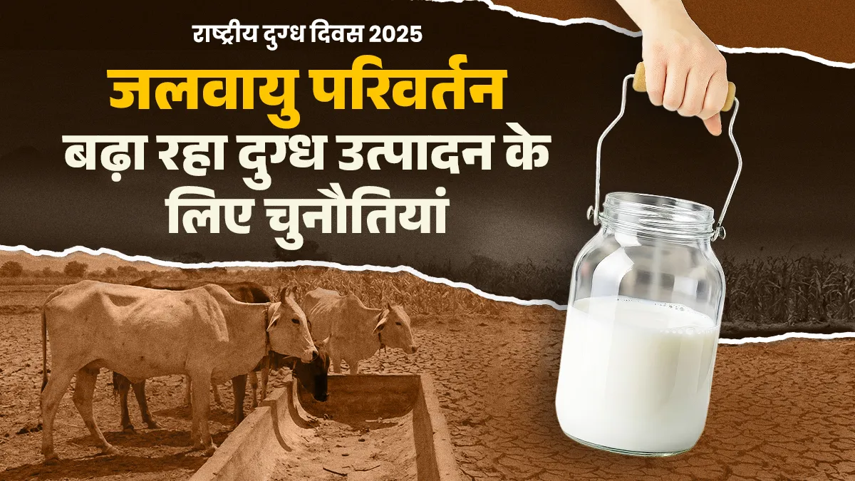 बदलती जलवायु से पड़ेगा दूग्ध उत्पादन पर असर, एक दिन की तेज गर्मी से घट जाता है 10 दिन का उत्पादन