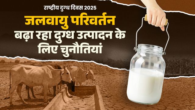 बदलती जलवायु से पड़ेगा दूग्ध उत्पादन पर असर, एक दिन की तेज गर्मी से घट जाता है 10 दिन का उत्पादन