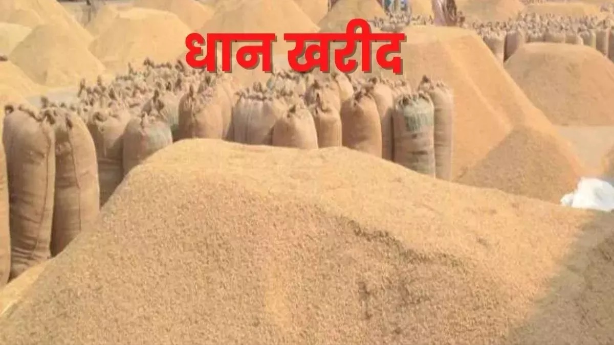 karnal grain scam five inspectors suspended after shortage