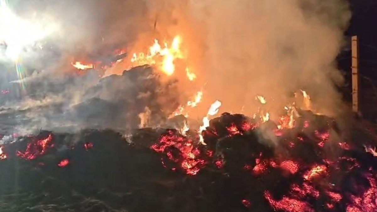a trolley loaded with stubble caught fire in fazilka causing a loss of rs 7 lakh