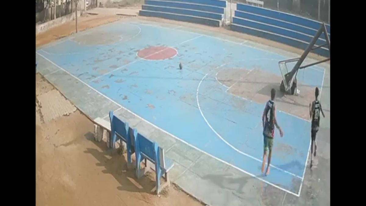 haryana basketball player death olympic association suspends sports events