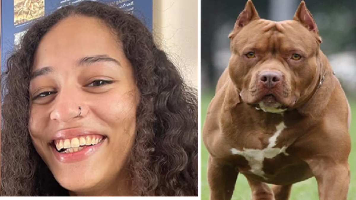 girl killed by three pit bull dogs in texas usa