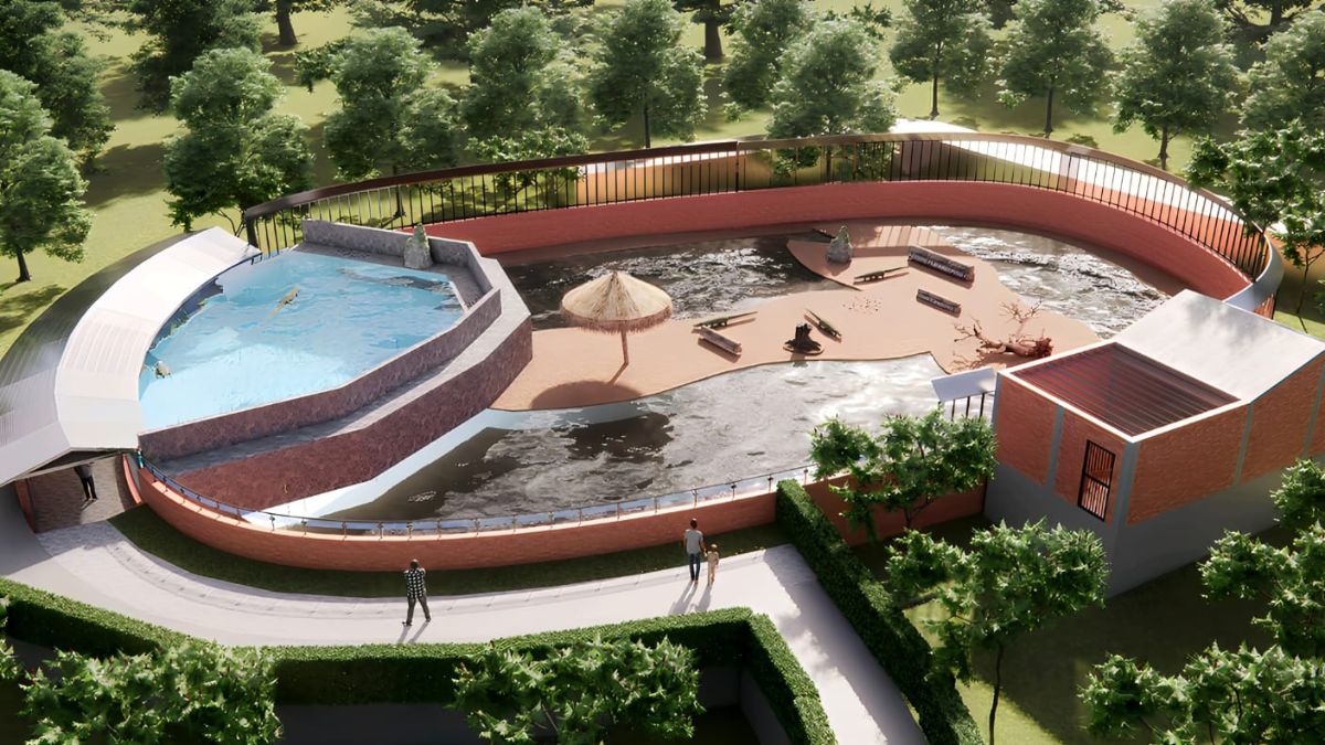 sambalpur zoo to get odisha first glass view tiger enclosure