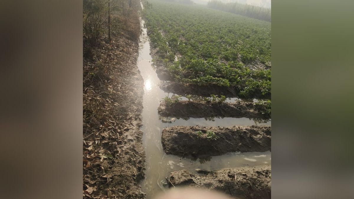 sambhal ganga canal leak water floods nine farmers fields