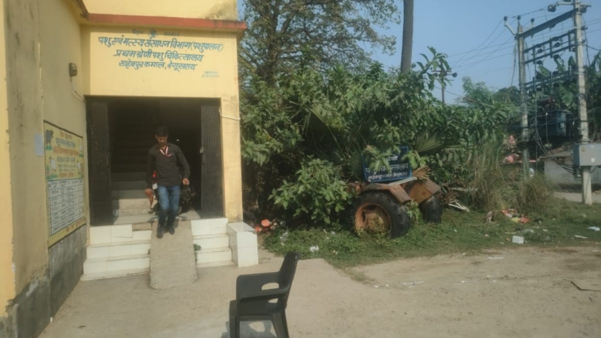 begusarai animal hospital faces staff and medicine shortage