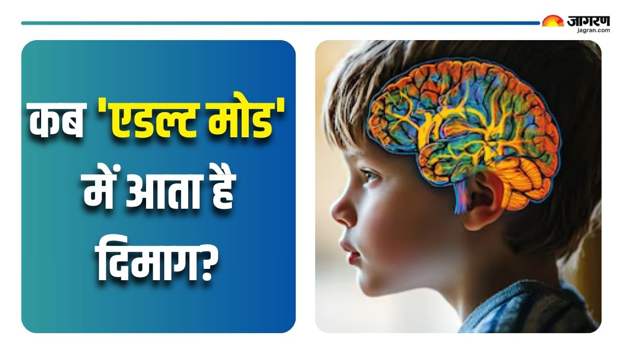 does our brain matures at the age of 32 check details here