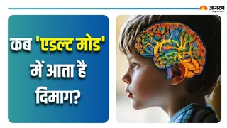 कैसे विकसित होता है हमारा दिमाग? (Picture Courtesy: Freepik)