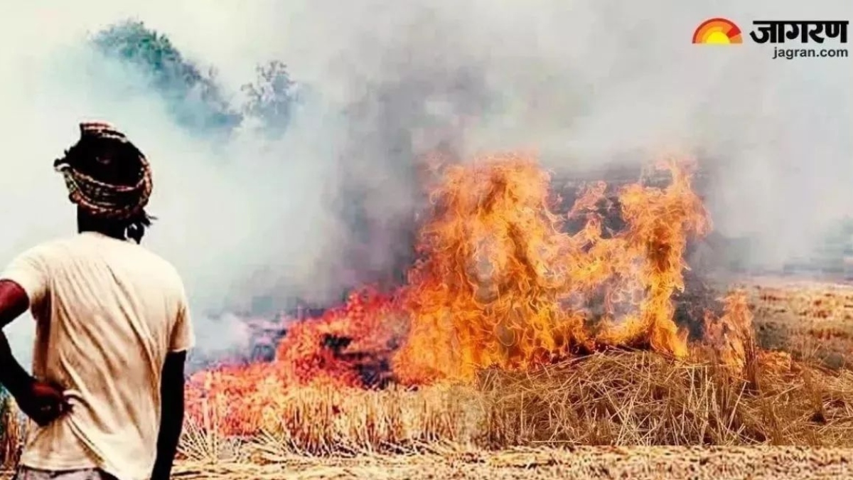 crackdown on stubble burning satellite monitoring action