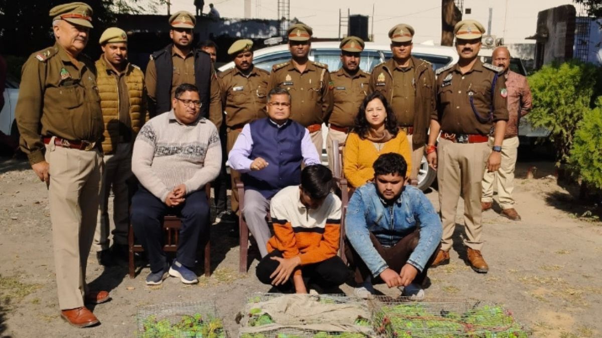 bareillystfarreststworampuriwildlifesmugglers300parrotsrescuedfrominterstatetraffickingtodelhi