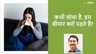 News Article Hero Image