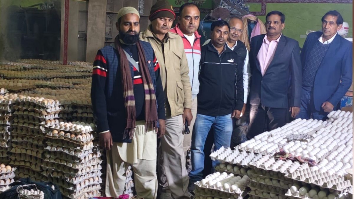 fake eggs busted in up 45 lakh artificially colored eggs seized