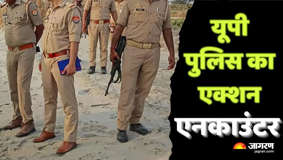 unnao two cattle smugglers injured in police encounter 20 cows rescued