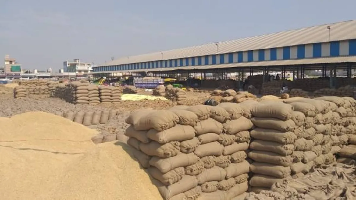 jowar procurement slow in mahoba only 28 quintals purchased