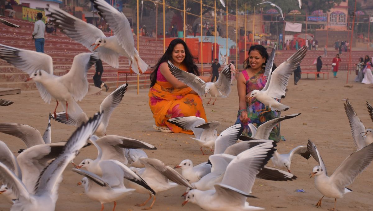 varanasi weather update cold wave expected in december