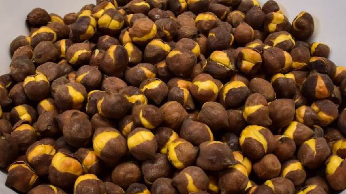roasted chickpeas adulteration cancer risk from auramine o in delhi markets