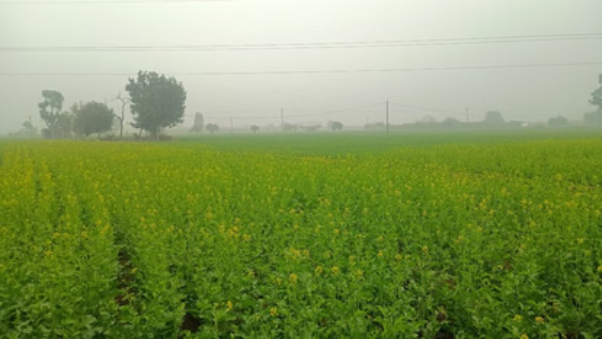 bihar weather forecast dry spell expected in north bihar for 3 days