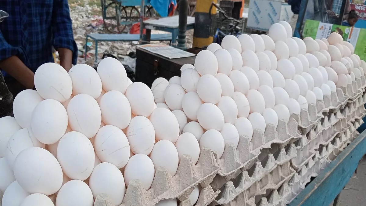 egg prices hike in winter increase with desi egg selling 15 per piece