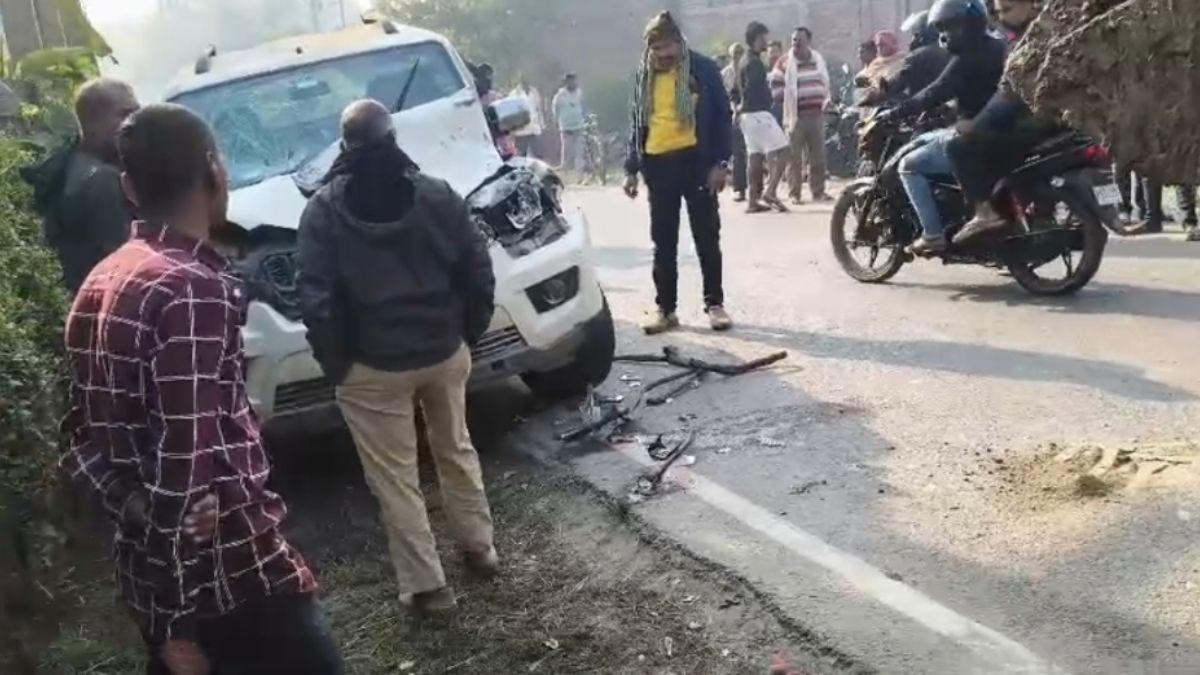 begusarai road accident scorpio kills horse and rider returning from wedding
