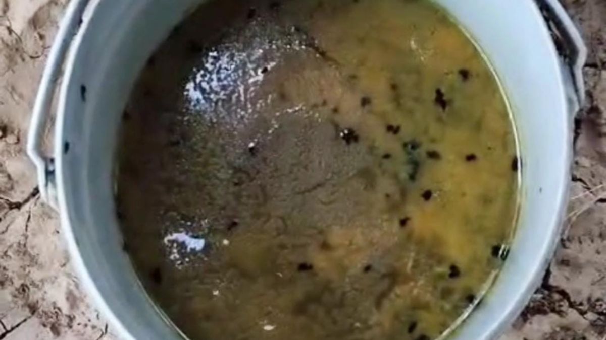 mid day meal scandal worms found in school lunch in jamui