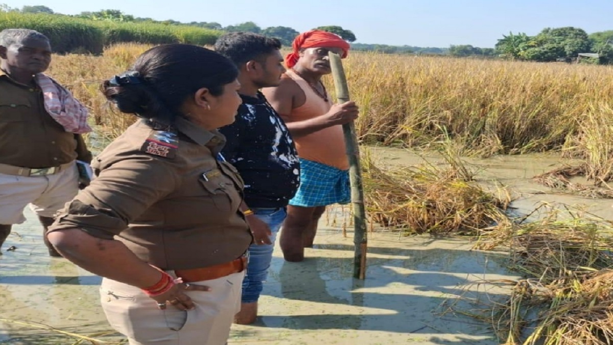 the decomposed body of an elderly woman missing for 41 days was found in bataua village of madhubani district