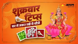 Friday Tips: घर में रखें ये चीजें।