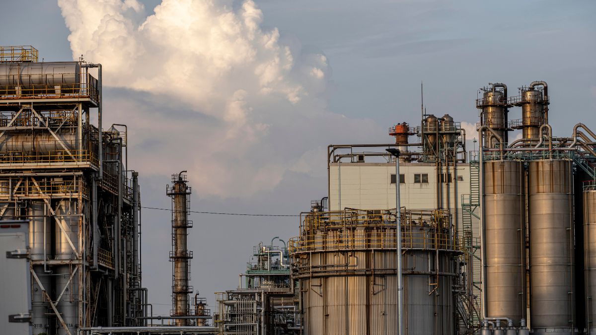 cement plant to open in gaya pramote bihar development and jobs