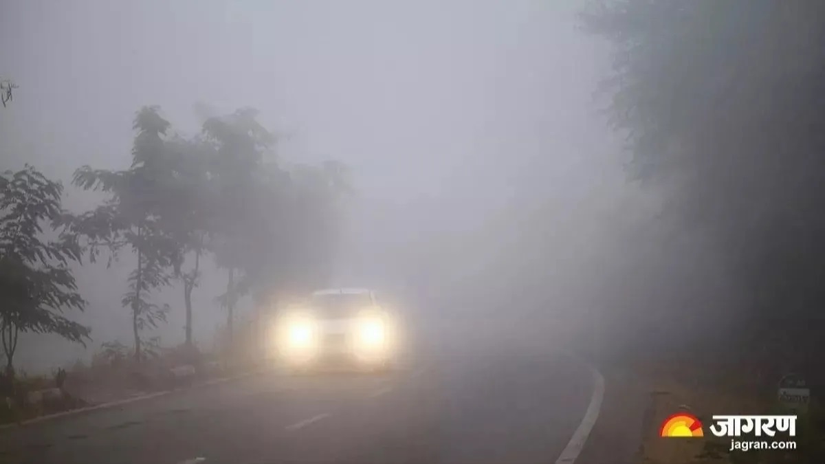 haryana weather alert dense fog warning issued for 10 districts