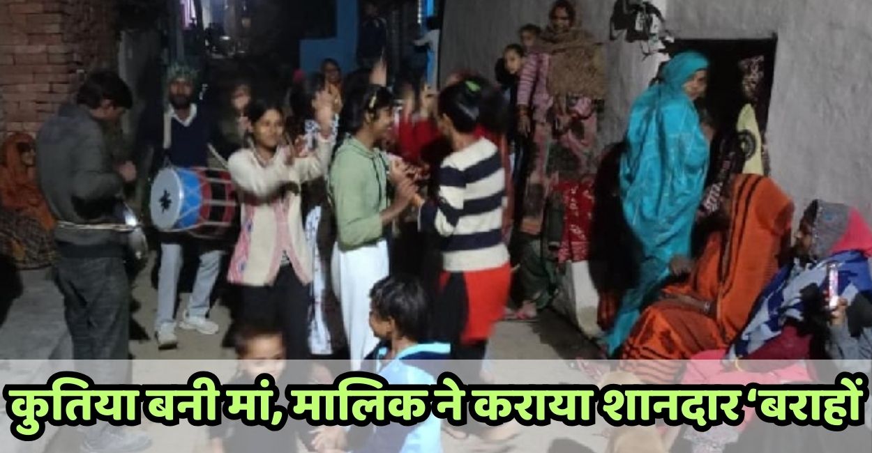 unique celebration in hamirpur five puppies born owner celebrates with grand baraho ceremony