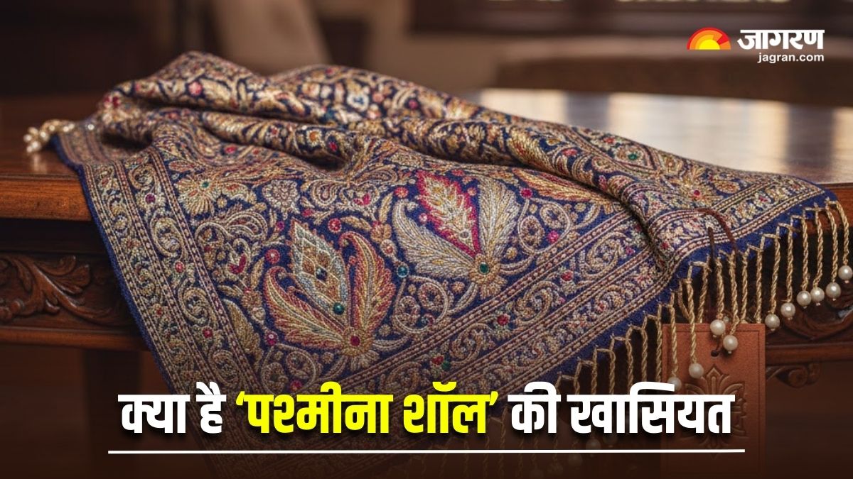 why are pashmina shawls so expensive real vs fake guide