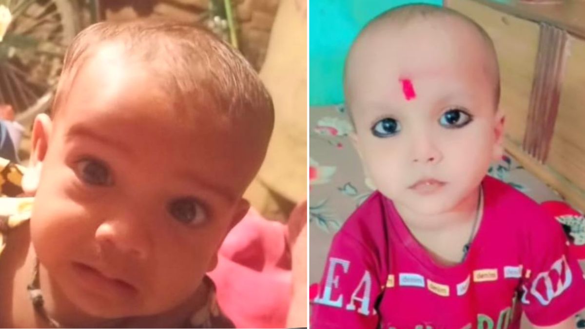 wolf attacks in bahraich two children killed terror grips region