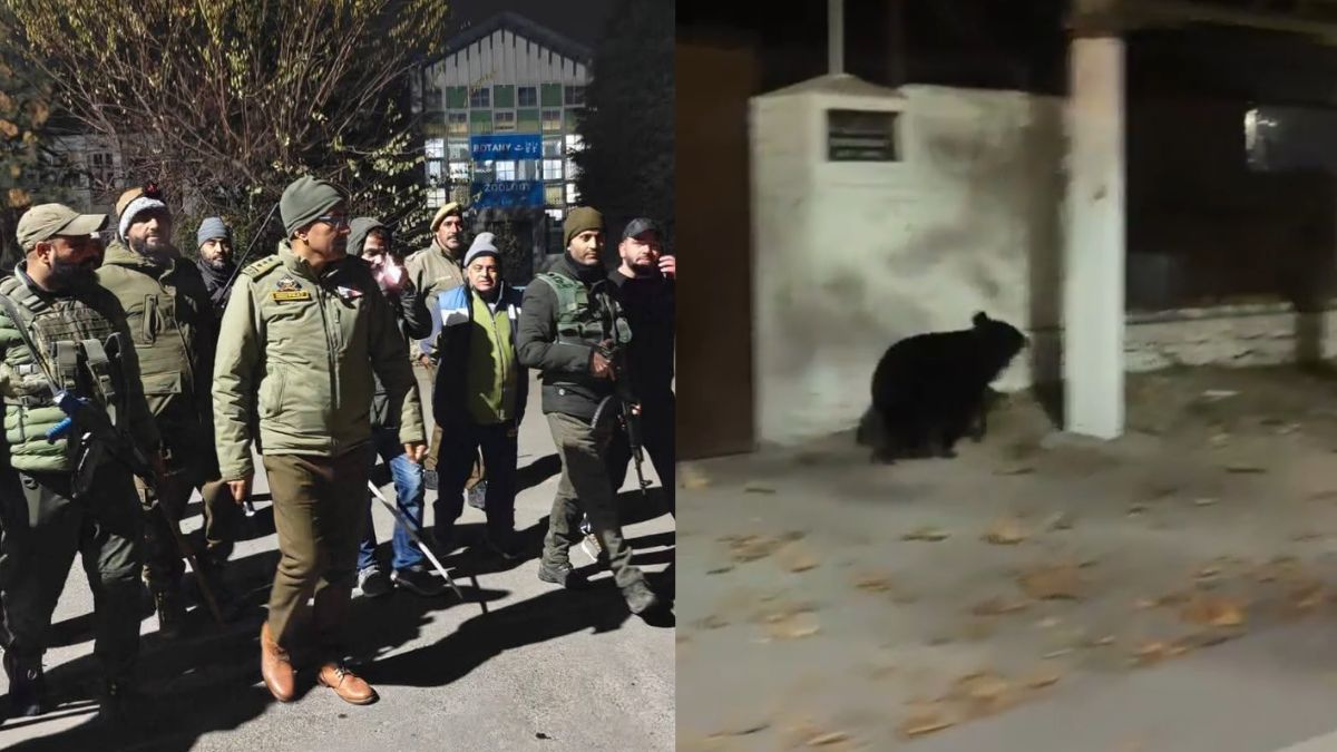 bear enters kashmir university girls hostel students panicked forced to stay indoors