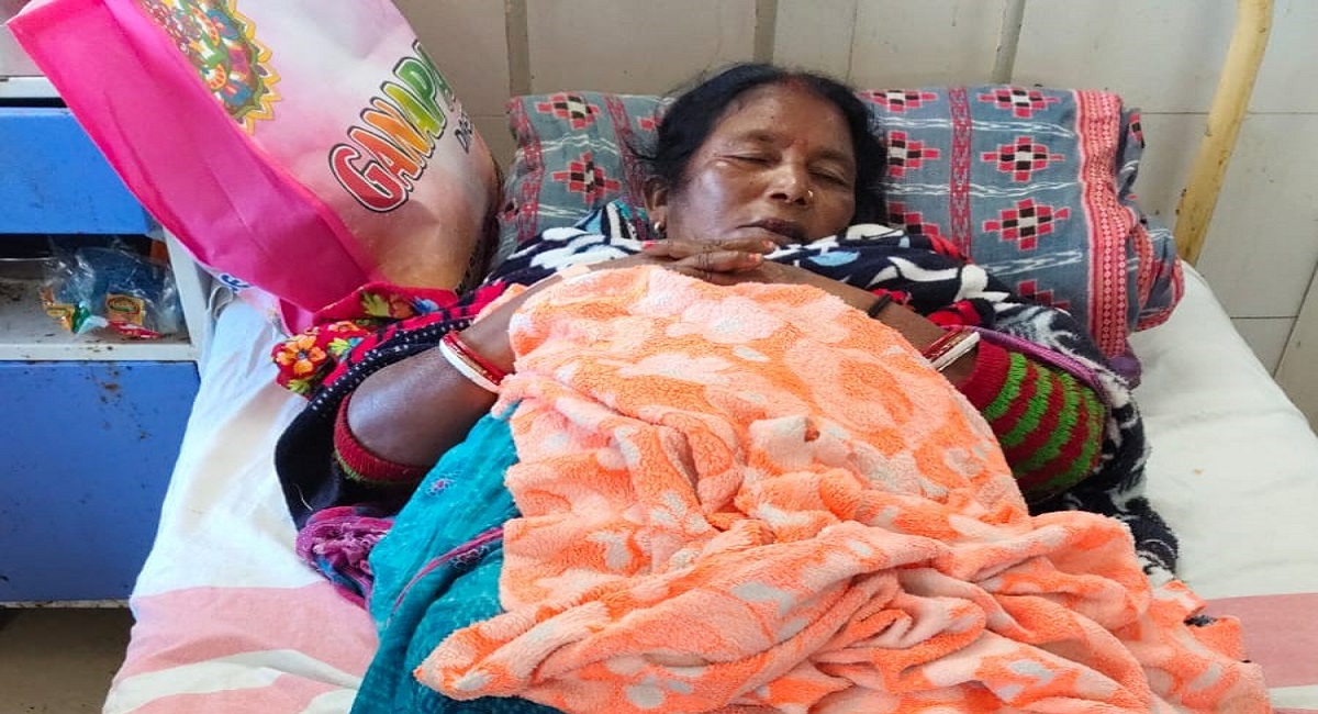 wild elephant terror in majhgaon couple attacked villagers fear