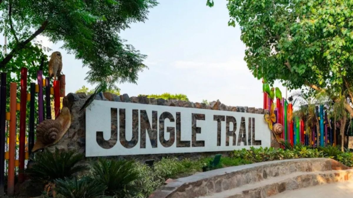 noida jungle trail park wildlife sculptures from scrap open december 1st