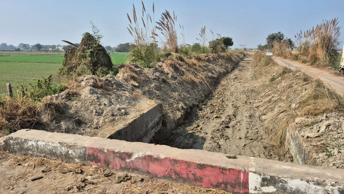 नोएडा में रबी फसल को सूखने की कगार पर, किसानों ने सिंचाई विभाग को दी चेतावनी!
