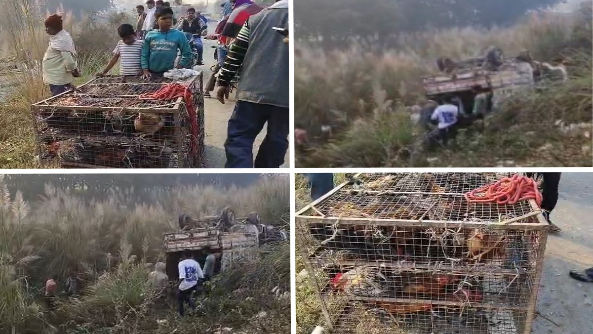 chicken laden vehicle overturns locals loot chickens in jaunpur