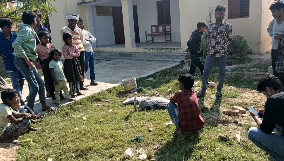injured sarus crane rescued by villagers in siddharthnagar