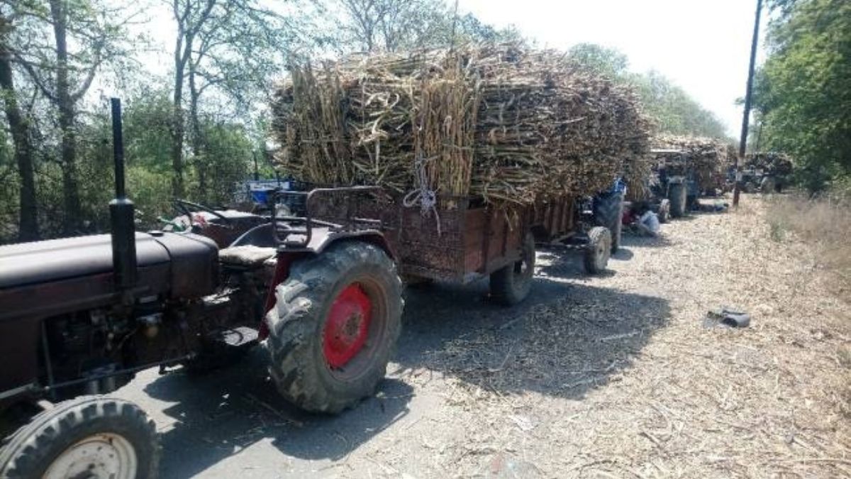 illegalextortionatsugarcanepurchasecentresfarmersforcedtopayloadingunloadingfeeinup