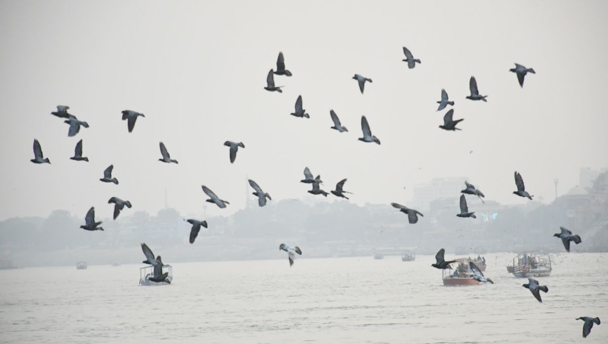 varanasi weather update western disturbance to bring relief from cold